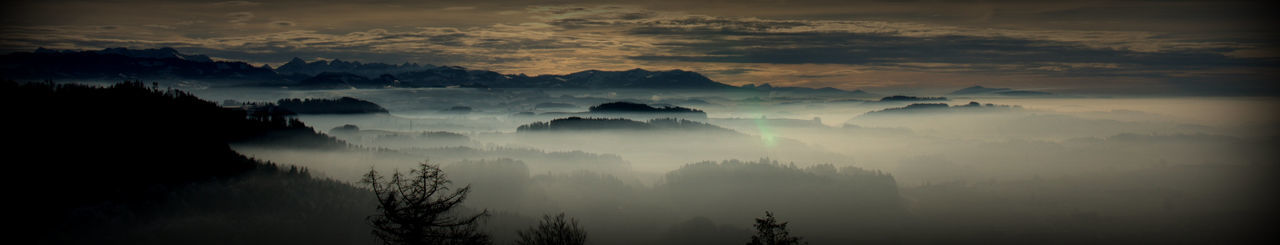 Panoramic shot of trees on landscape against sky