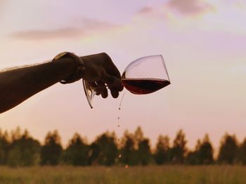 Close-up of hand holding glass of wine during sunset