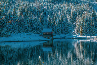 Scenic view of lake in forest during winter