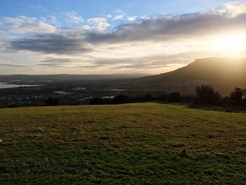 Scenic view of field against sky