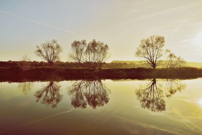 Reflection of trees in lake against sky