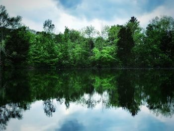 Reflection of trees in lake against sky