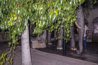 Man standing by plants