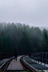 Man standing on railway bridge against trees in foggy weather