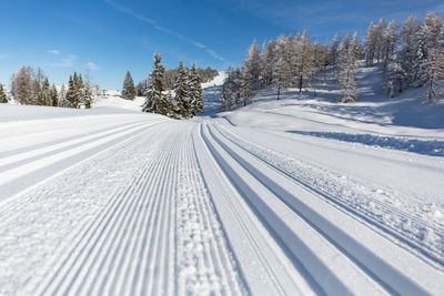 Cross-country ski trail through the forest with mountains and blue sky on the horizon