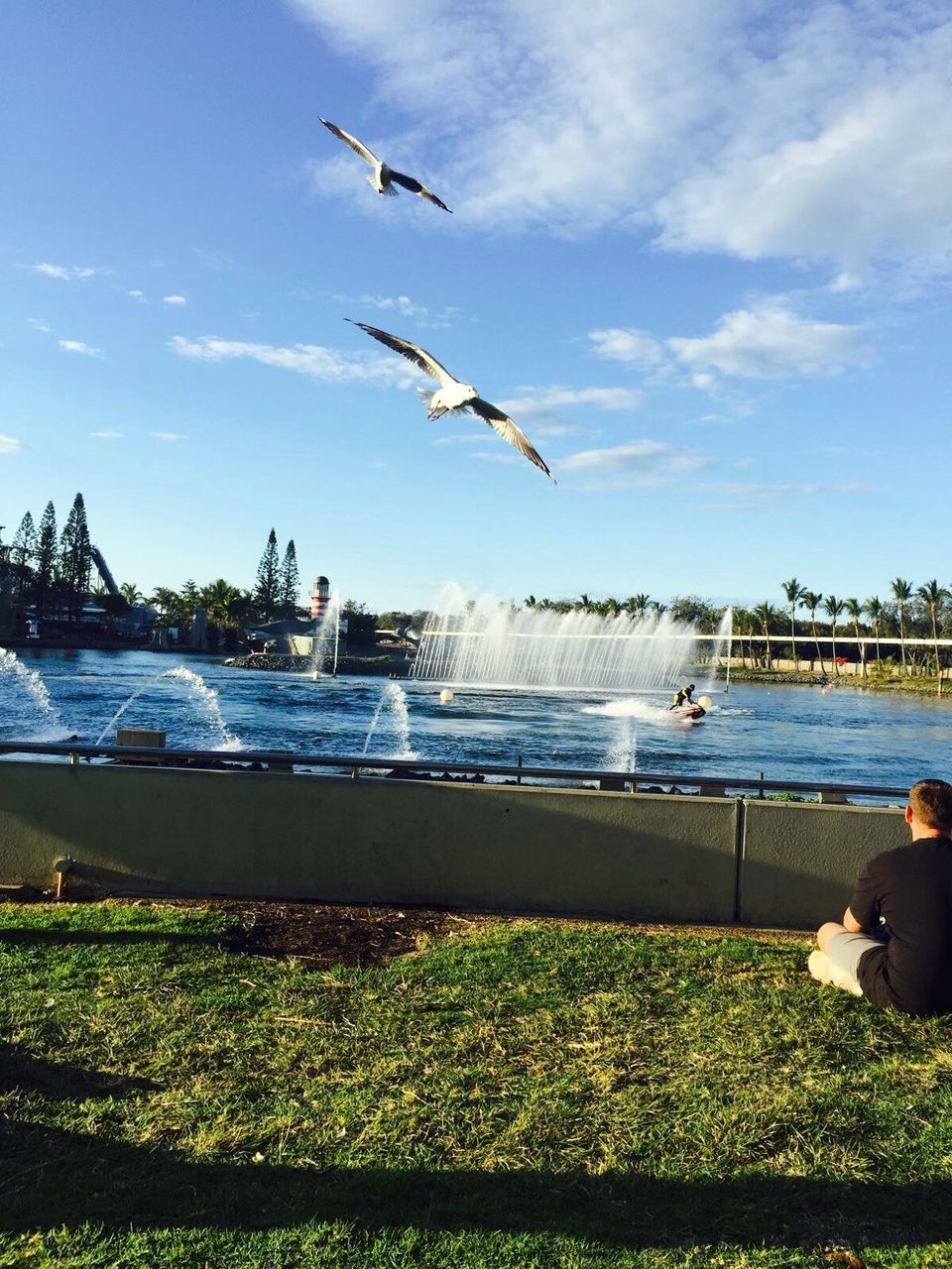 water, flying, bird, animals in the wild, real people, sky, animal wildlife, nature, sea, leisure activity, outdoors, day, beauty in nature, large group of animals, scenics, spread wings, men, togetherness, flock of birds, beach, people