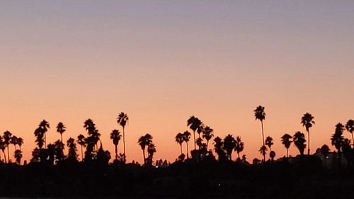 Silhouette trees on field against sky during sunset