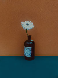 Close-up of flower vase on table against wall