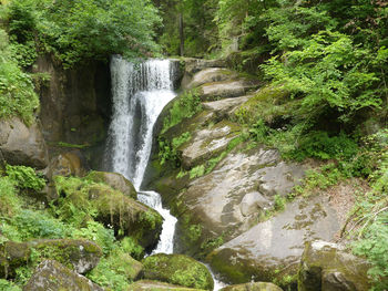 Scenic view of waterfall in forest