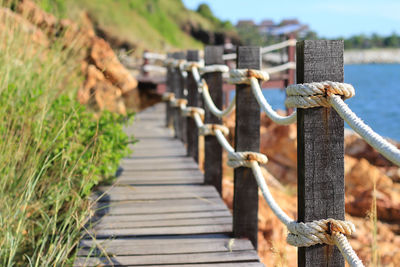 Close-up of wooden post