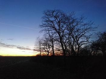 Silhouette bare trees on landscape against sky at sunset