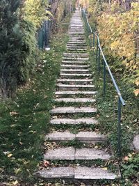 Footpath amidst trees during autumn