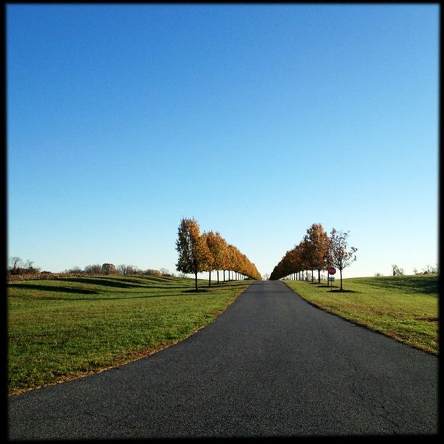 the way forward, clear sky, road, diminishing perspective, copy space, country road, grass, transportation, blue, transfer print, vanishing point, tree, landscape, tranquility, tranquil scene, road marking, field, empty, empty road, long