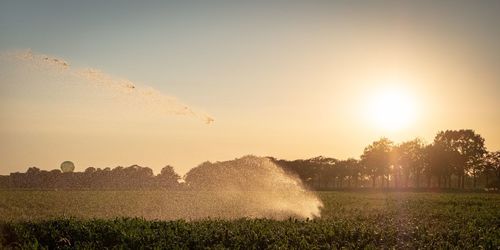 Scenic view of field against sky during sunset