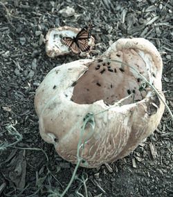 Close-up of abandoned structure on field