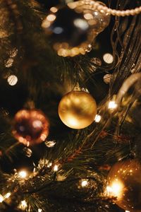 Close-up of illuminated christmas tree at night