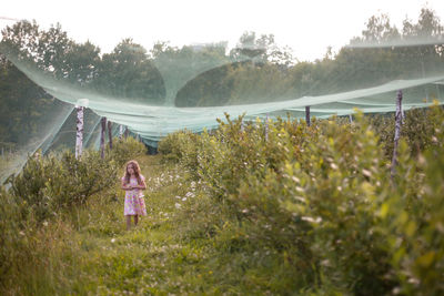 A young girl picking blueberries in a rural setting