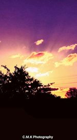 Silhouette trees against sky at sunset