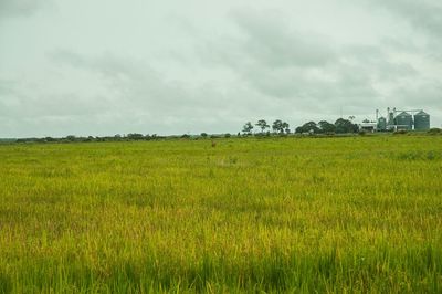 Scenic view of field against cloudy sky