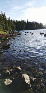 View of river with trees in background