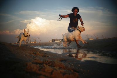 Woman with dogs running on shore at beach against sky during sunset