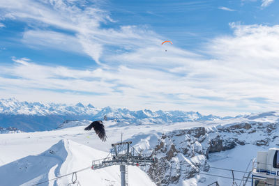 Landscape of the diablerets glacier  3000 a bird flying and a person doing paraglider