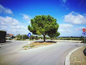 Empty road by trees against blue sky