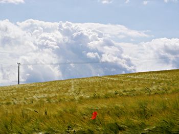 Scenic view of land against sky