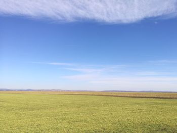 Scenic view of field against blue sky