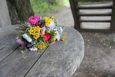 Close-up of multi colored flower on wood