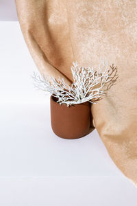 Golden textile and winter branch decor. holiday,christmas, concept. still life new year wallpaper