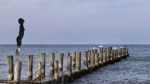 Wooden posts in sea against clear sky