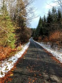 Road amidst trees in forest during winter