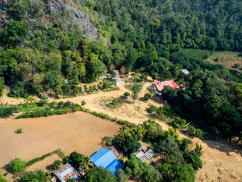 High angle view of trees and houses on field