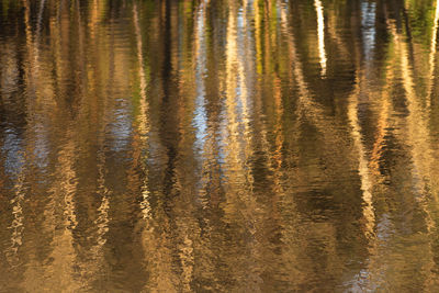 Full frame shot of rippled lake