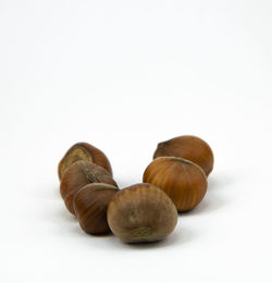 Close-up of eggs against white background