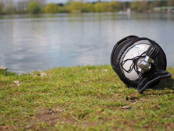 Close-up of plant on field by lake