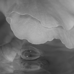 Close-up of water drops on glass