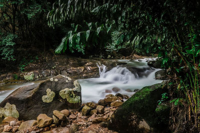 Stream flowing through rocks in forest