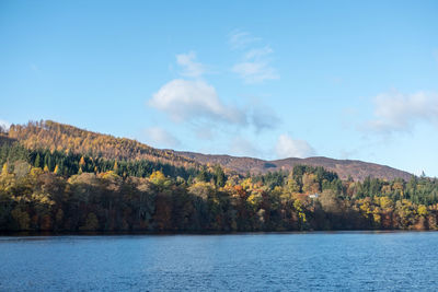 Scenic view of lake by trees against sky