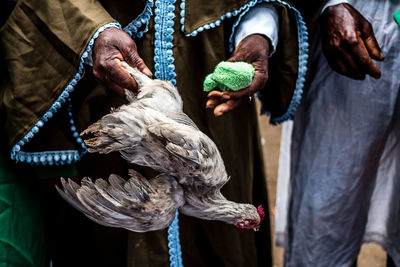 Close-up of man feeding bird