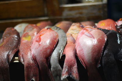 Close-up of fish for sale in market