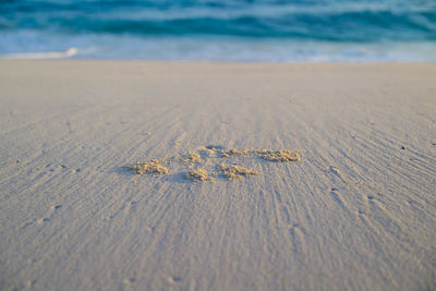 Close-up of sand at beach