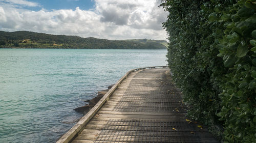 Wooden coastal boardwalk surrounded by water and foliage. shot at raglan, new zealand