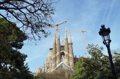 Low angle view of trees and building against sky