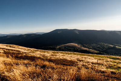 Scenic view of field against clear sky