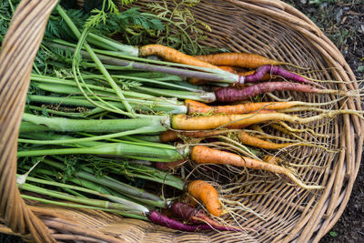 High angle view of vegetables in basket