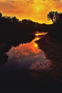 Silhouette trees against sky during sunset
