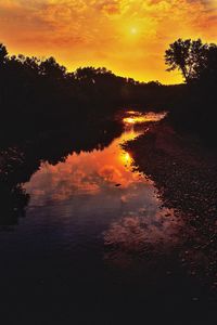 Silhouette trees against sky during sunset