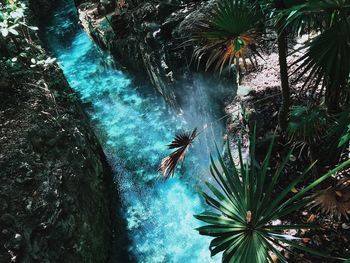 Low angle view of palm trees against rocks in sea